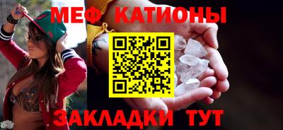 прущие грибы Камышлов