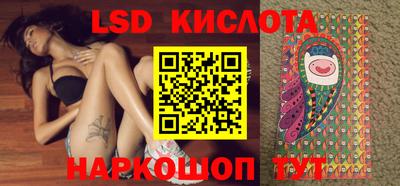 шишки Кандалакша