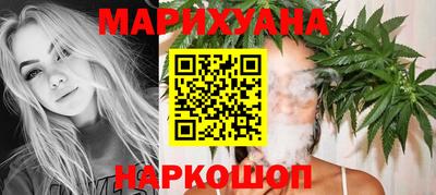 шишки Кандалакша