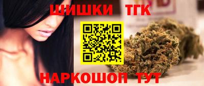 шишки Кандалакша