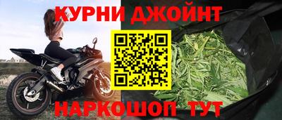 шишки Кандалакша