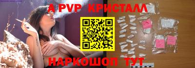 шишки Кандалакша