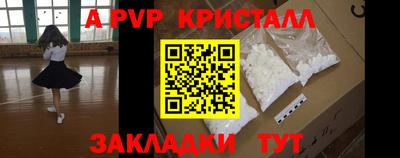 прущие грибы Камышлов