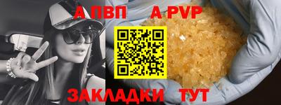 шишки Кандалакша