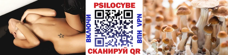 дарнет шоп  Симферополь  Псилоцибиновые грибы Cubensis 